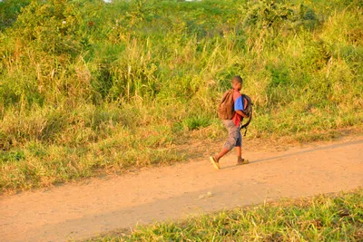 DSC_4288 (Large).JPG